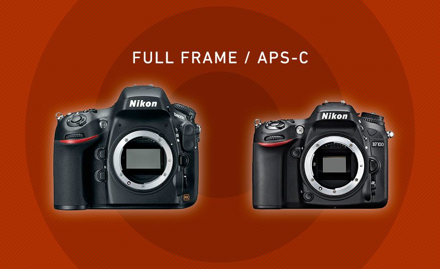 Diferencia entre Full Frame y APS-C | Fotora