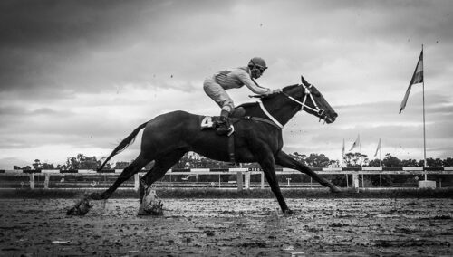 6° lugar | Concurso: Lluvia Canon EOS 1300D · 21mm · f/5 · 1/1000s · ISO 400
