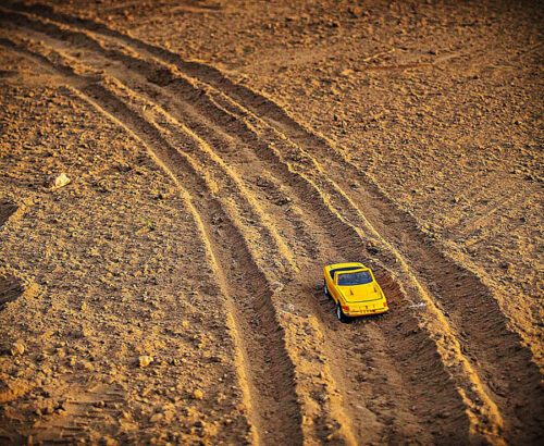 2° lugar | Concurso: Color Amarillo Canon EOS Rebel T6 · 35mm · f/4.5 · 1/1600s · ISO 800