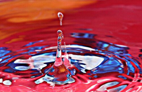 6° lugar | Concurso: Agua Canon EOS REBEL T5 · 46mm · f/11 · 1/500s · ISO 800