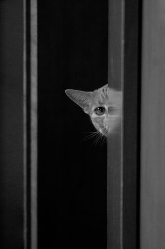 6° lugar | Concurso: Minimalismo ILCE-6000 · 49mm · f/5.6 · 1/160s · ISO 5000