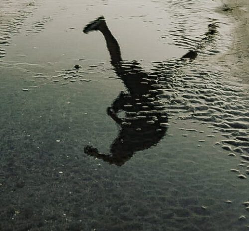 9° lugar | Concurso: Bajo los pies