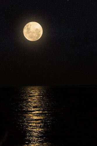 2° lugar | Concurso: Luna