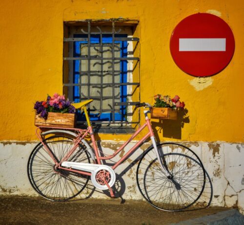 10° lugar | Concurso: Bicicleta NIKON D5200 · 38mm · f/8 · 1/2000s · ISO 400