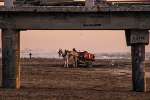 8° lugar | Concurso: Arena NIKON D5300 · 300mm · f/8 · 1/80s · ISO 100