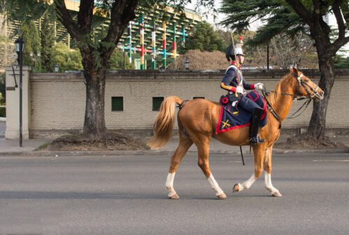 10° lugar | Concurso: Caballo