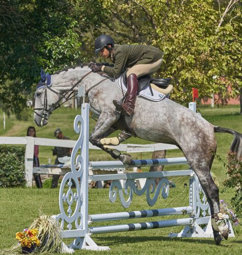 9° lugar | Concurso: Caballo
