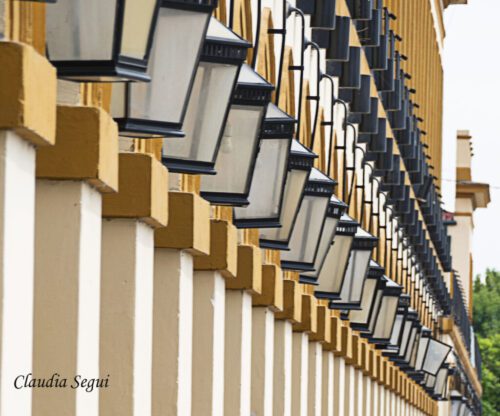 6° lugar | Concurso: Repetición NIKON D7500 · 130mm · f/8 · 1/160s · ISO 100