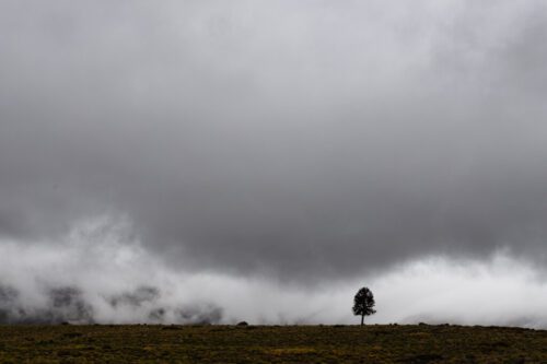 8° lugar | Concurso: Minimalismo Canon EOS 6D Mark II · 70mm · f/8 · 1/125s · ISO 100