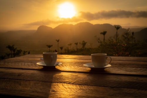 10° lugar | Concurso: Café ILCE-7 · 39mm · f/18 · 1/160s · ISO 250