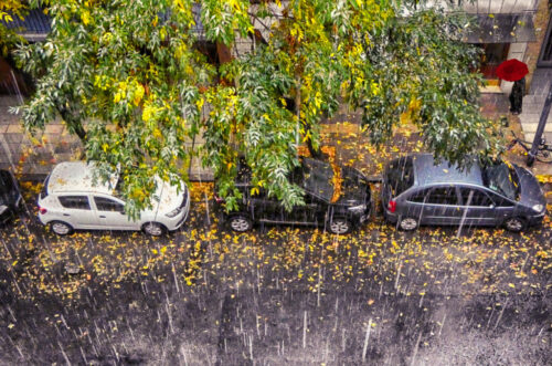 4° lugar | Concurso: Lluvia DC-FZ80 · 7mm · f/3.7 · 1/80s · ISO 3200