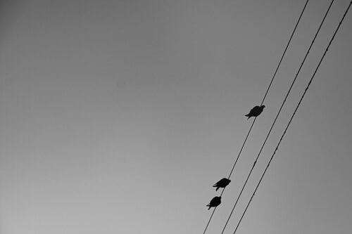 8° lugar | Concurso: Espacio Negativo