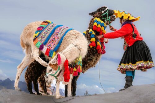 1° lugar | Concurso: Multicolor NIKON Z 6 · 50mm · f/7.1 · 1/1250s · ISO 320