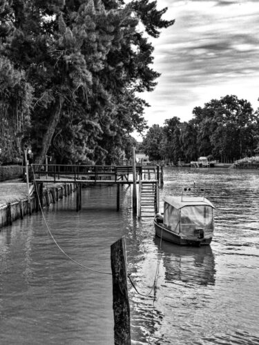 9° lugar | Concurso: Paisajes Blanco y Negro Galaxy A54 5G · 5mm · f/1.8 · 1/150s · ISO 40