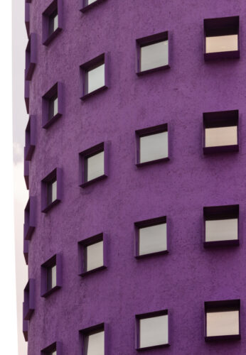 1° lugar | Concurso: Color Violeta Canon EOS REBEL T5i · 76mm · f/14 · 1/80s · ISO 100