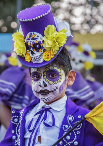 8° lugar | Concurso: Color Violeta Canon EOS 5D Mark III · 105mm · f/4.5 · 1/125s · ISO 16000