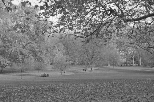 7° lugar | Concurso: Paisajes Blanco y Negro NIKON D40 · 55mm · f/10 · 1/200s · ISO 400