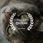 Concurso: Picado