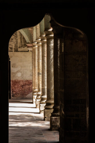 4° lugar | Concurso: Luz Lateral Canon EOS REBEL T5i · 85mm · f/7.1 · 1/25s · ISO 100