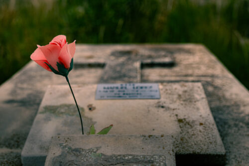 7° lugar | Concurso: Cementerio Canon EOS 6D Mark II · 45mm · f/4 · 1/500s · ISO 100