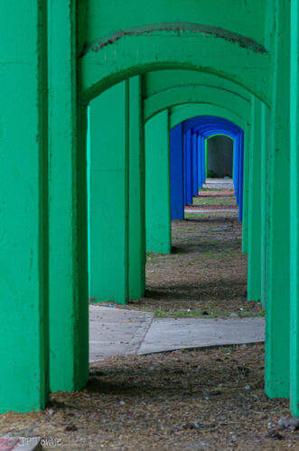 2° lugar | Concurso: Color verde PENTAX K-5 II s · 75mm · f/9 · 1/60s · ISO 160