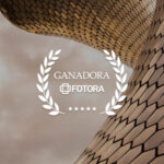 Concurso: Curvas