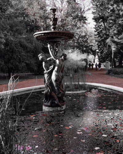 4° lugar | Concurso: Jardín Botánico