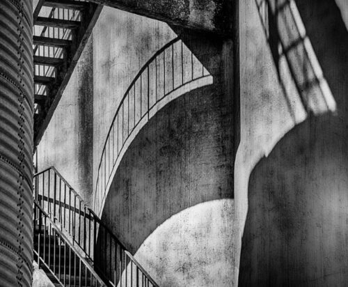 9° lugar | Concurso: Sombras en blanco y negro Canon EOS 5D Mark III · 300mm · f/6.3 · 1/1000s · ISO 200