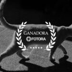 Concurso: Sombras Blanco y Negro