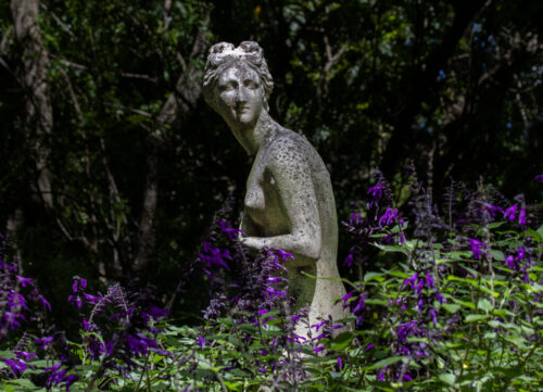 10° lugar | Concurso: Jardín Botánico Canon EOS 7D · 70mm · f/8 · 1/400s · ISO 640