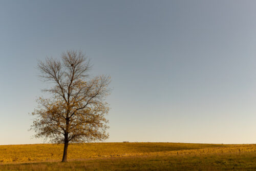 5° lugar | Concurso: Minimalismo Canon EOS 6D Mark II · 45mm · f/5.6 · 1/640s · ISO 100
