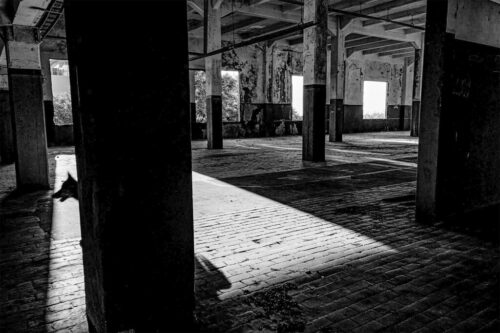 10° lugar | Concurso: Sombras en blanco y negro NIKON Z 50 · 18mm · f/8 · 1/100s · ISO 100