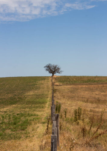 6° lugar | Concurso: Perspectiva Central Canon EOS REBEL T5i · 66mm · f/11 · 1/250s · ISO 100