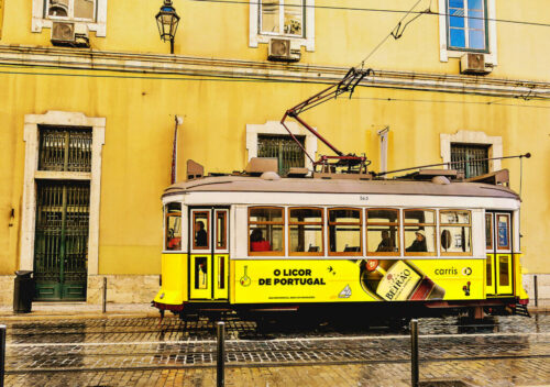 2° lugar | Concurso: Color Amarillo Canon PowerShot G15 · 6mm · f/2.8 · 1/640s · ISO 200