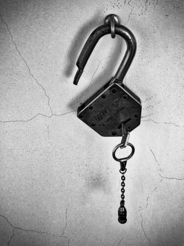 1° lugar | Concurso: Seguridad Galaxy A54 5G · 5mm · f/1.8 · 1/280s · ISO 40