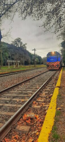 9° lugar | Concurso: Diagonales SM-A307G · 3mm · f/1.7 · 1/442s · ISO 40