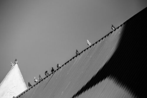 2° lugar | Concurso: Diagonales Canon EOS REBEL T5i · 171mm · f/6.3 · 1/1000s · ISO 200