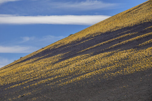 5° lugar | Concurso: Diagonales Canon EOS 5D Mark IV · 180mm · f/11 · 1/1600s · ISO 800
