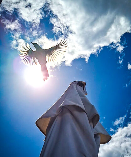 5° lugar | Concurso: Aves en vuelo