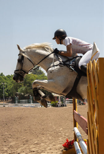 6° lugar | Concurso: Caballo