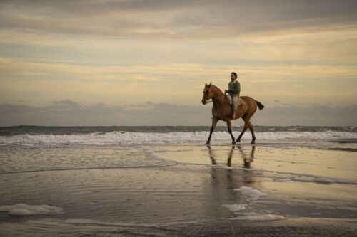 1° lugar | Concurso: Caballo ILCE-6600 · 51mm · f/8 · 1/100s · ISO 200