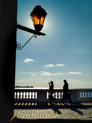 1° lugar | Concurso: Luminaria 23129RA5FL · 5mm · f/1.7 · 1/8000s · ISO 50