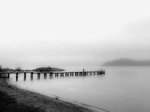 1° lugar | Concurso: Tema Libre iPhone 13 · 5mm · f/1.6 · 1/1441s · ISO 50