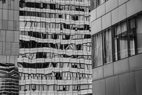 1° lugar | Concurso: Blanco y Negro Canon EOS R10 · 50mm · f/8 · 1/320s · ISO 200