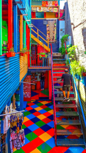 1° lugar | Concurso: Colores Saturados Galaxy A54 5G · 5mm · f/1.8 · 1/370s · ISO 40