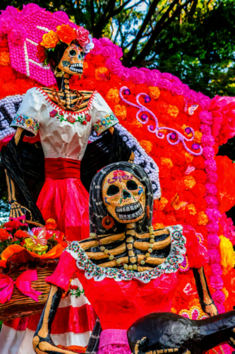 5° lugar | Concurso: Colores Saturados