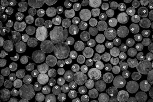 4° lugar | Concurso: Madera Canon EOS M50 · 106mm · f/5.6 · 1/1600s · ISO 100