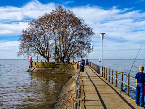 6° lugar | Concurso: Río