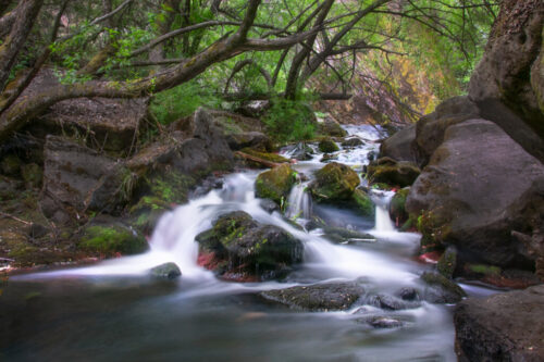 1° lugar | Concurso: Río