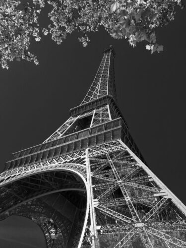 9° lugar | Concurso: Tema Libre Galaxy A54 5G · 5mm · f/1.8 · 1/2500s · ISO 40